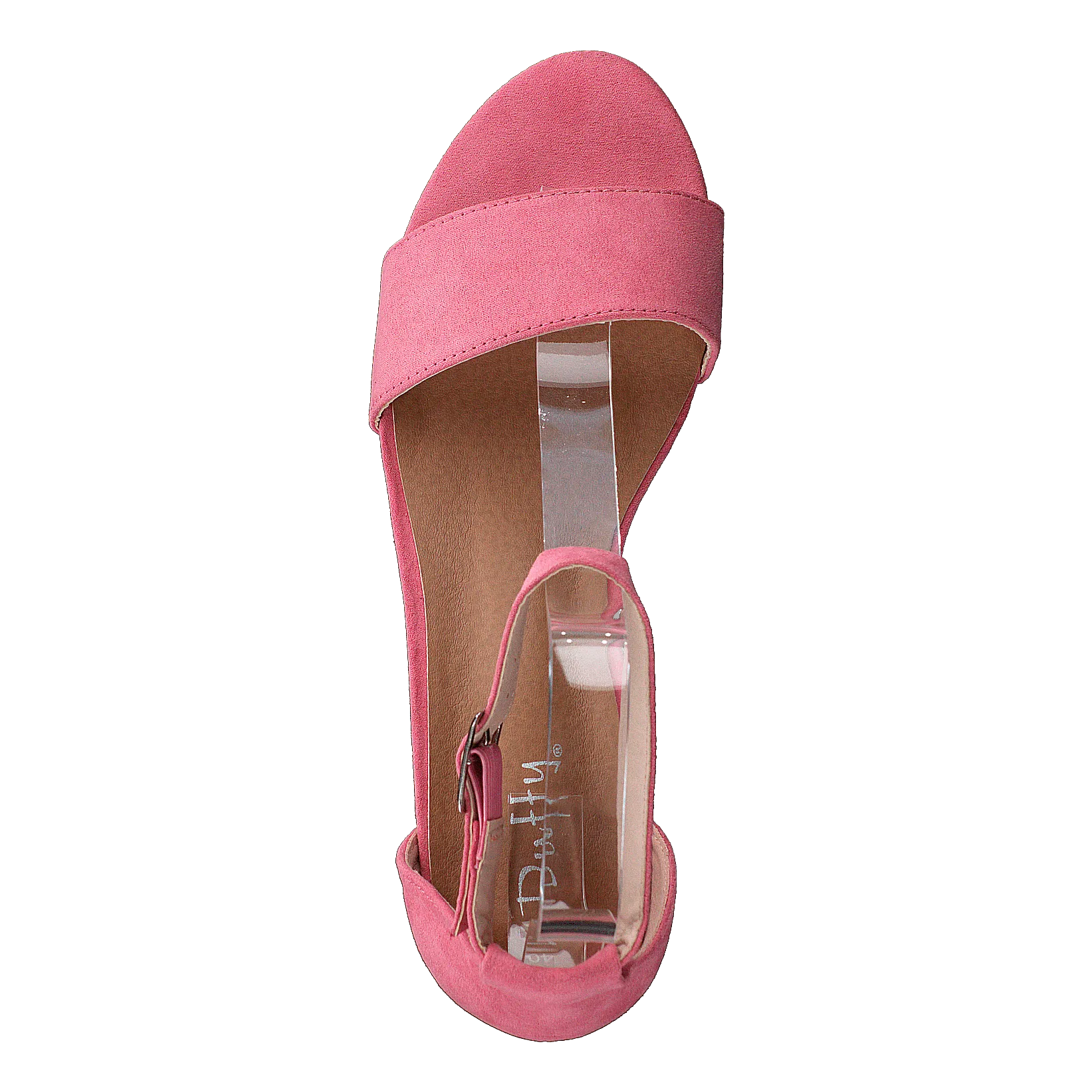 97-18551 Coral