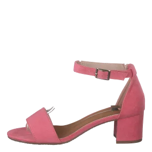 97-18551 Coral