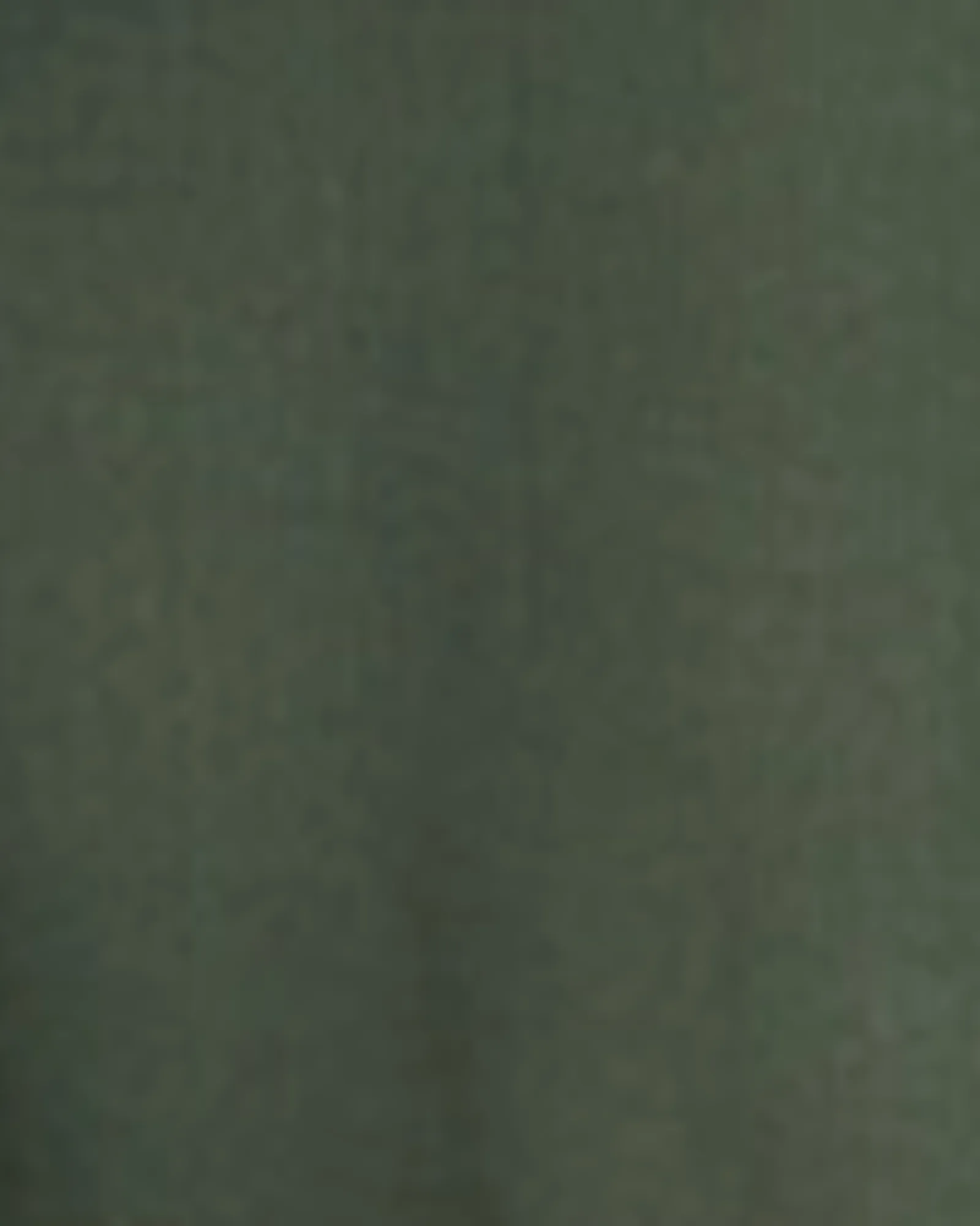 Lana Dress | Olive