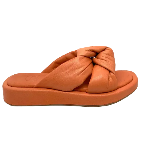 Sempre di Knot Slides
