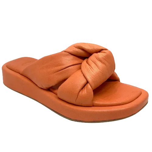 Sempre di Knot Slides