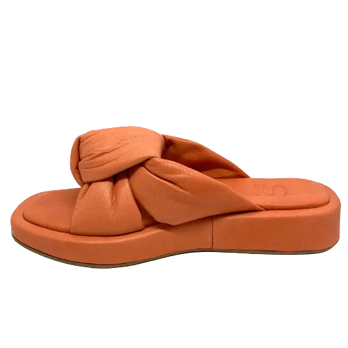 Sempre di Knot Slides